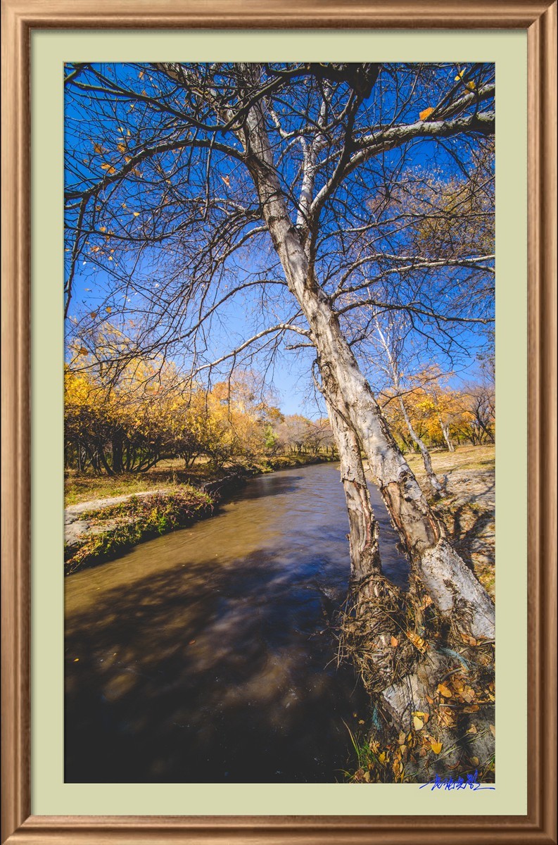 【老张光影】坝上光影（竖版）