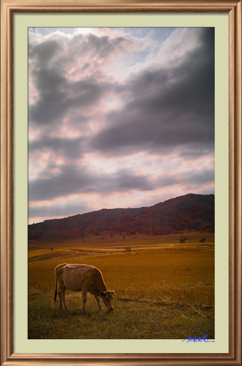 【老张光影】坝上光影（竖版）