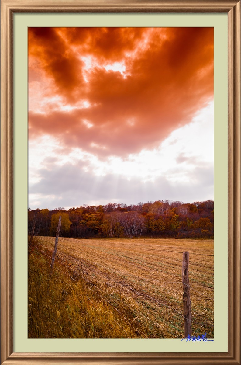 【老张光影】坝上光影（竖版）