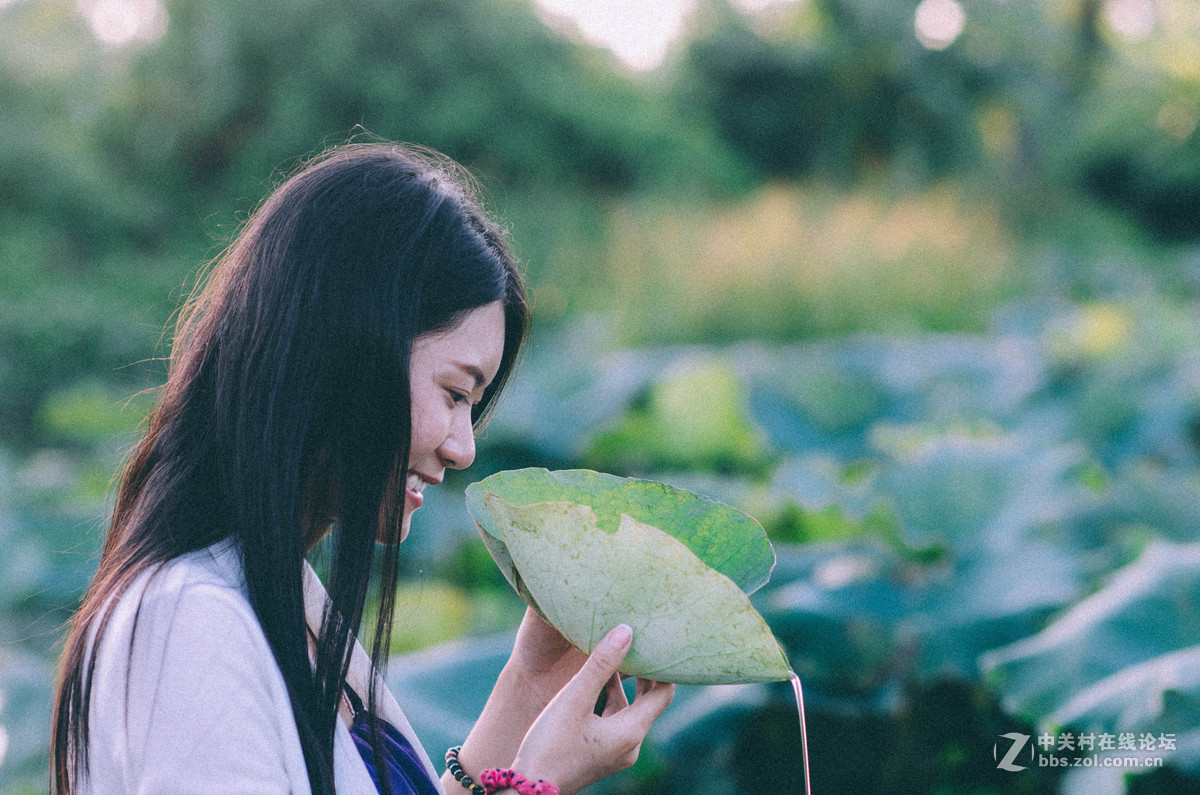 #荷花女#