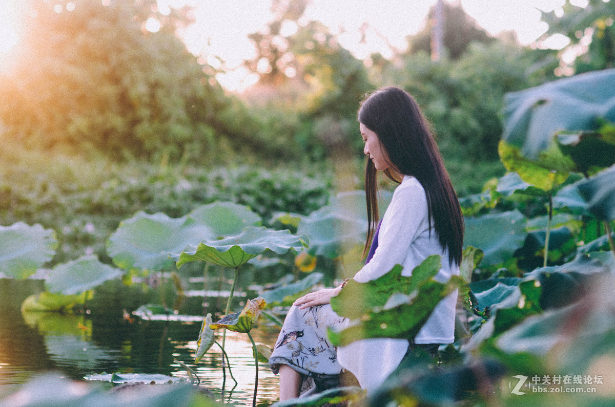 #荷花女#