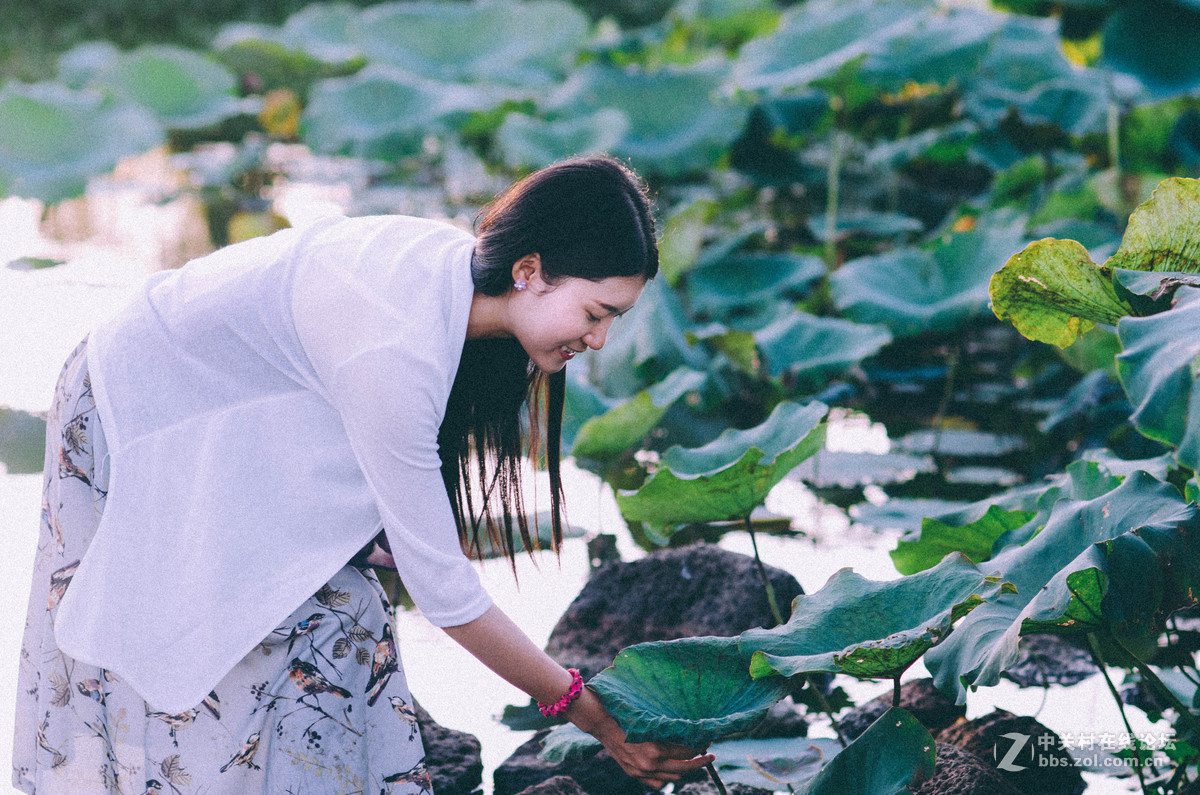 #荷花女#