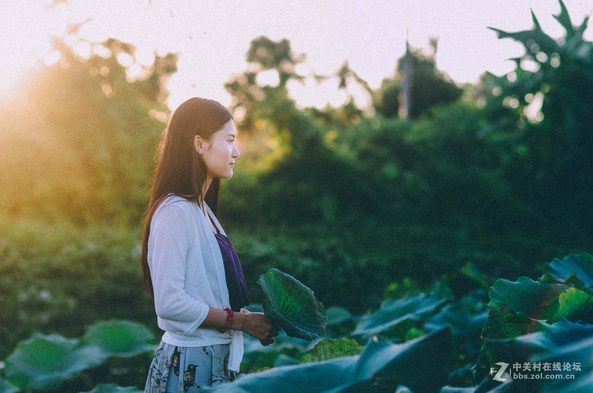 #荷花女#