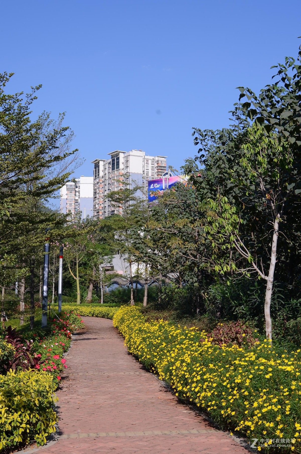 尼康28-70 3.5-4.5D试镜