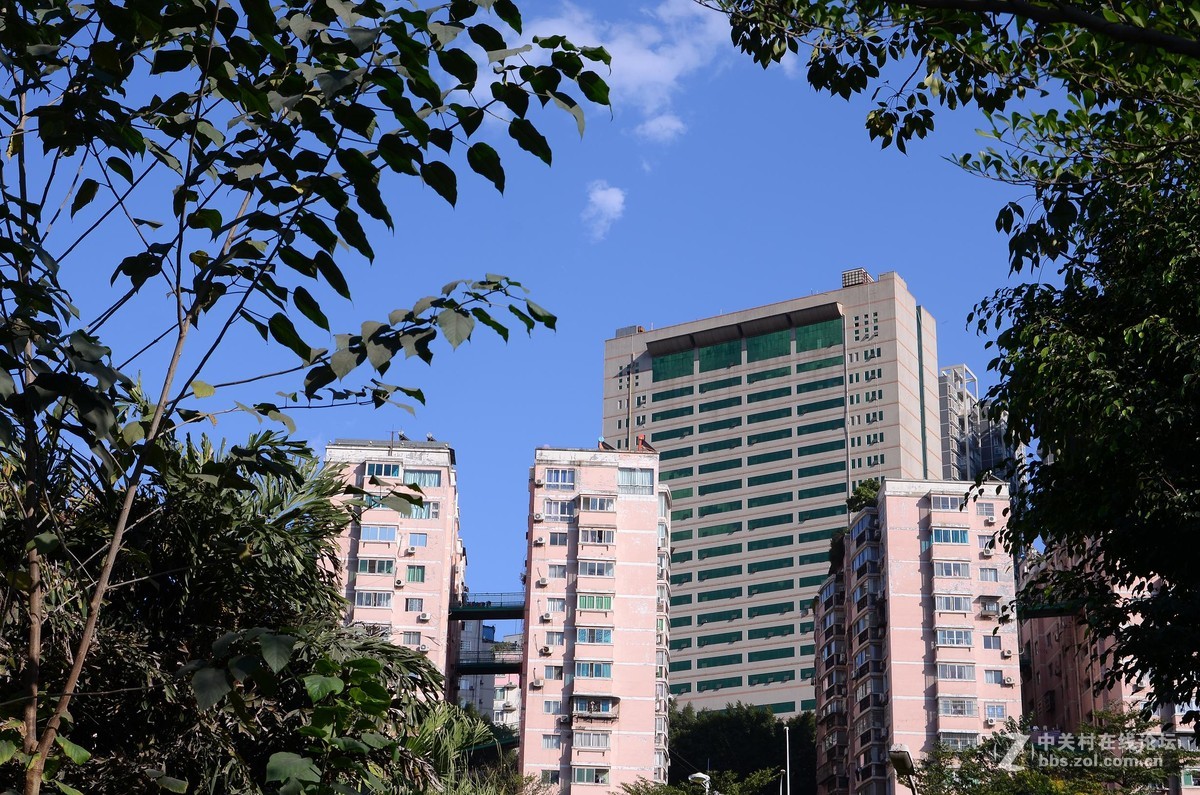 尼康28-70 3.5-4.5D试镜