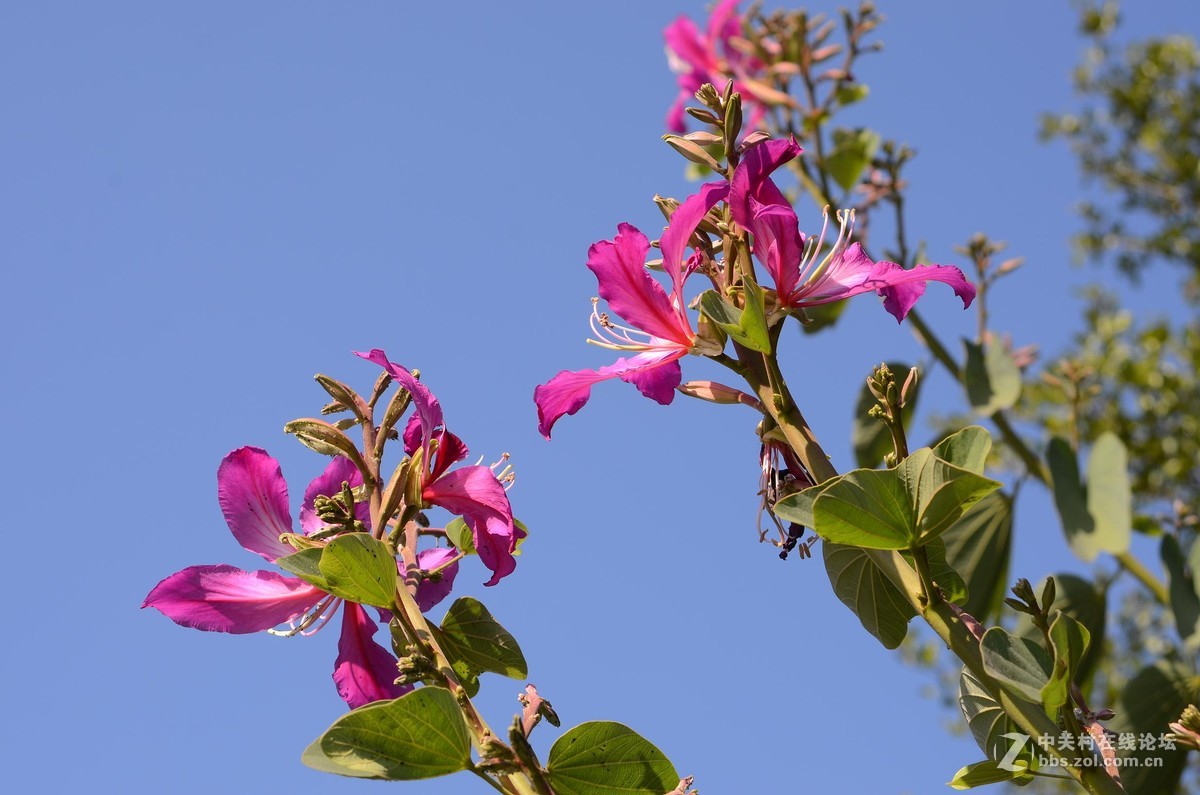 尼康28-70 3.5-4.5D试镜