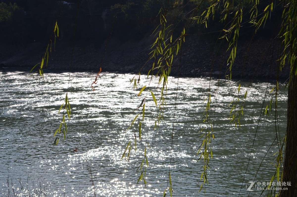 尼康28-70 3.5-4.5D试镜