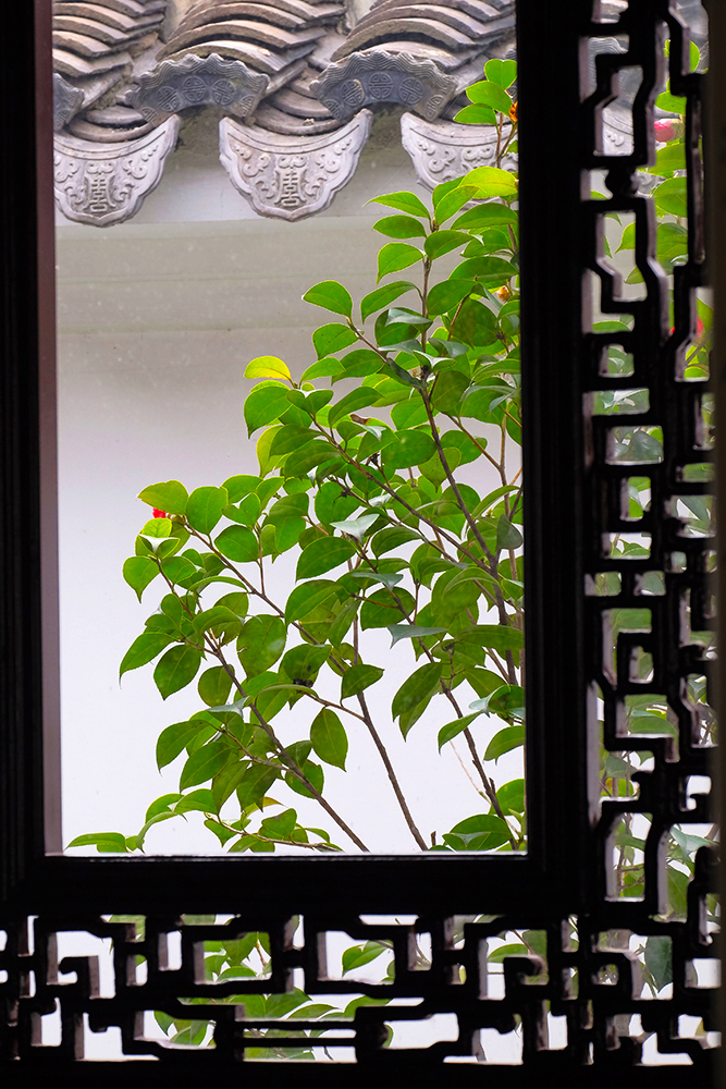 #我镜中的园林（公园）点名评片# ——虎丘春晓（请地理探索老师和闲人阿超老师评