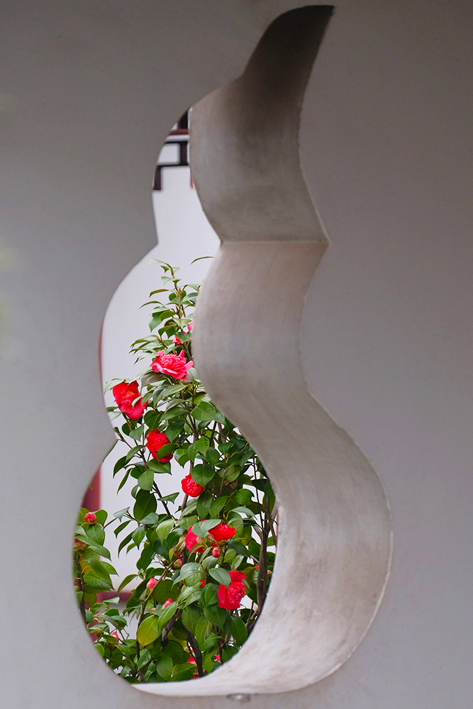 #我镜中的园林（公园）点名评片# ——虎丘春晓（请地理探索老师和闲人阿超老师评