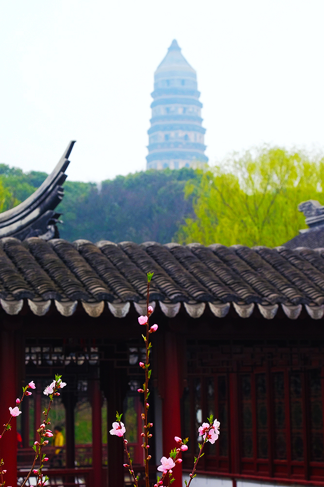 #我镜中的园林（公园）点名评片# ——虎丘春晓（请地理探索老师和闲人阿超老师评