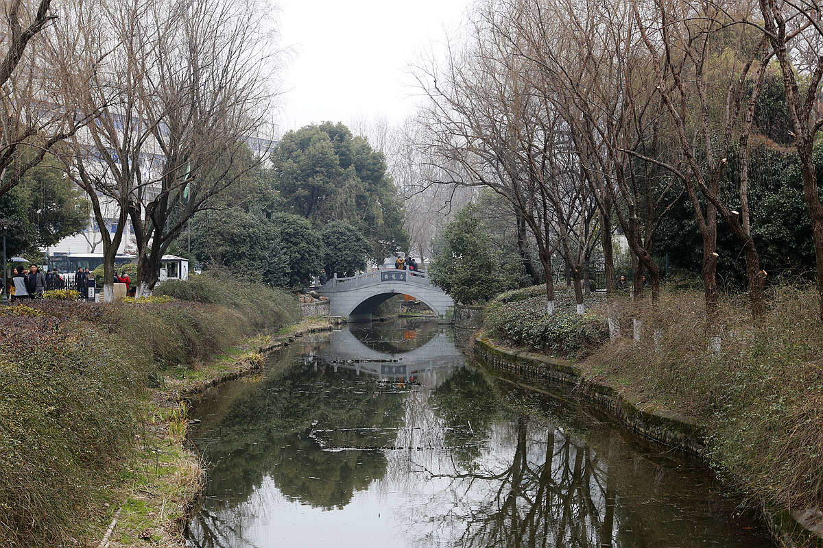 遊遊拍拍61南京烏龍潭公園