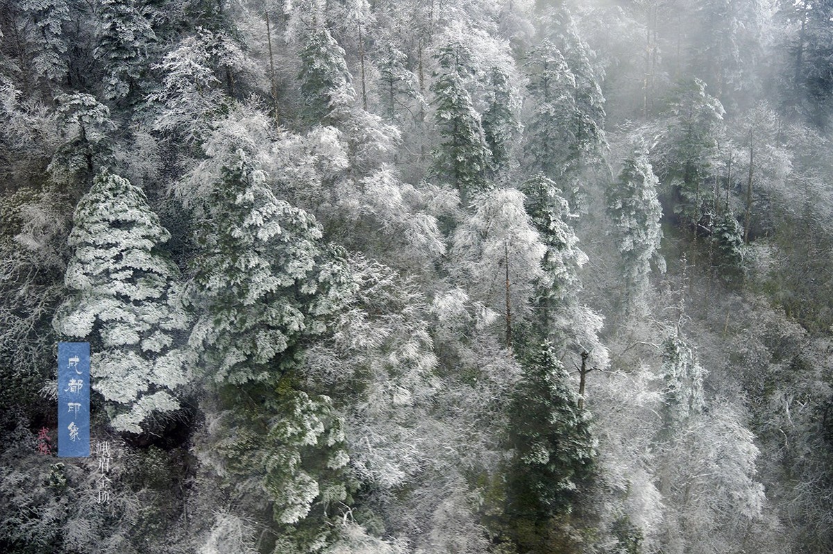 成都印象之金顶