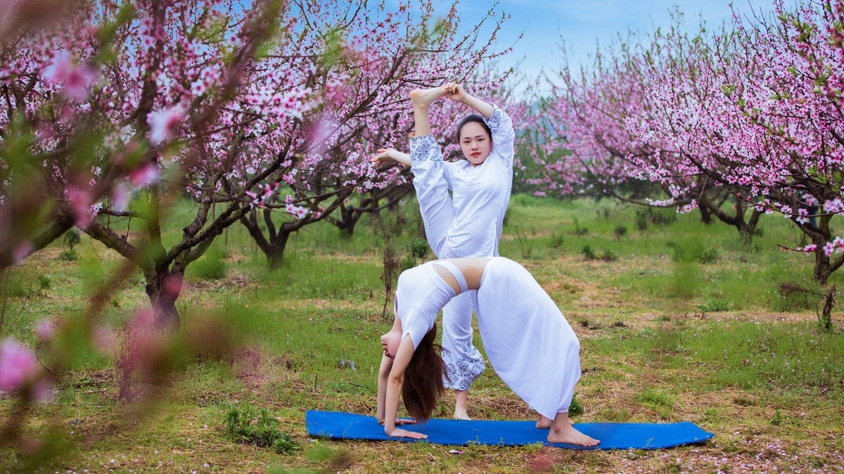 桃花园里秀瑜珈享受春日时光