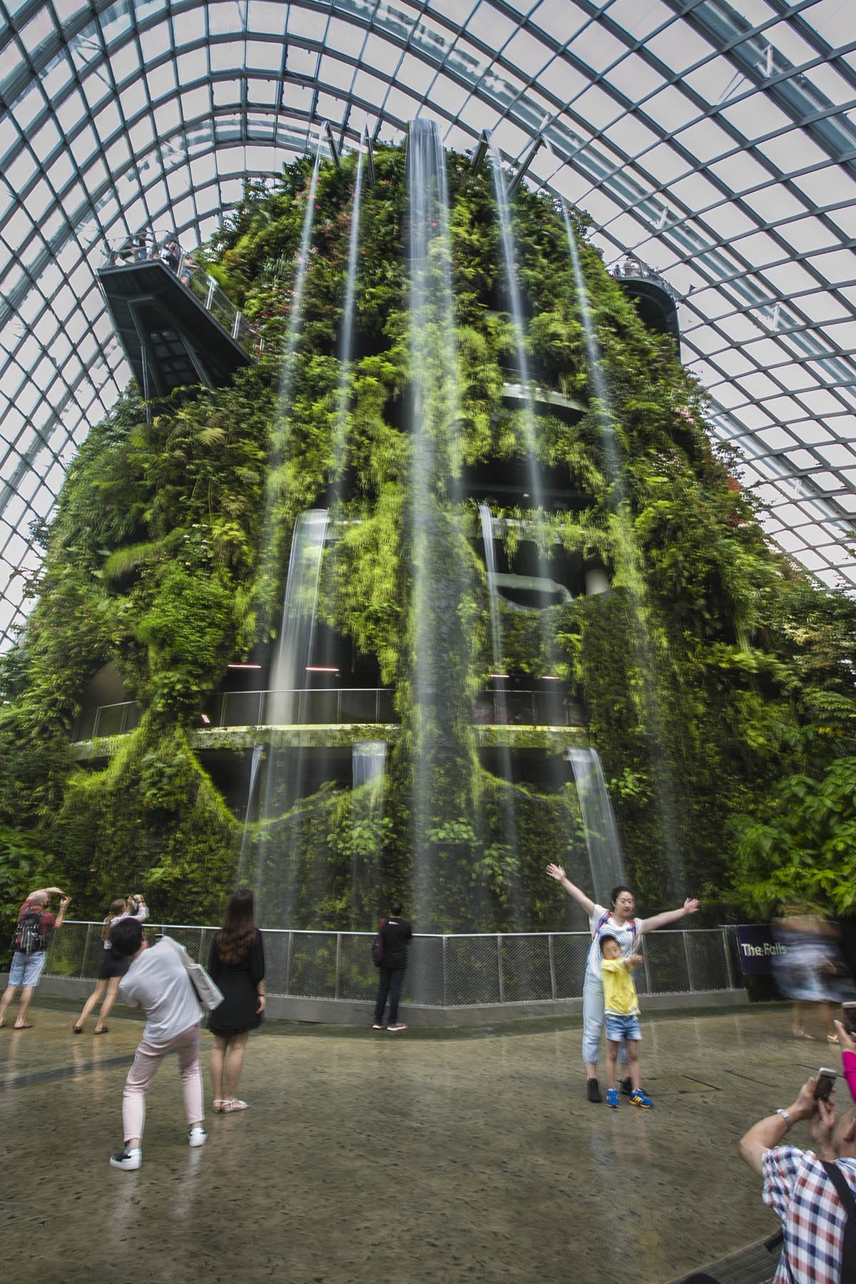 管窥网红立体植物园——新加坡滨海湾花园-中关村在线摄影论坛