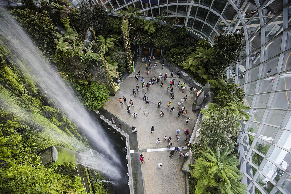 管窥网红立体植物园新加坡滨海湾花园