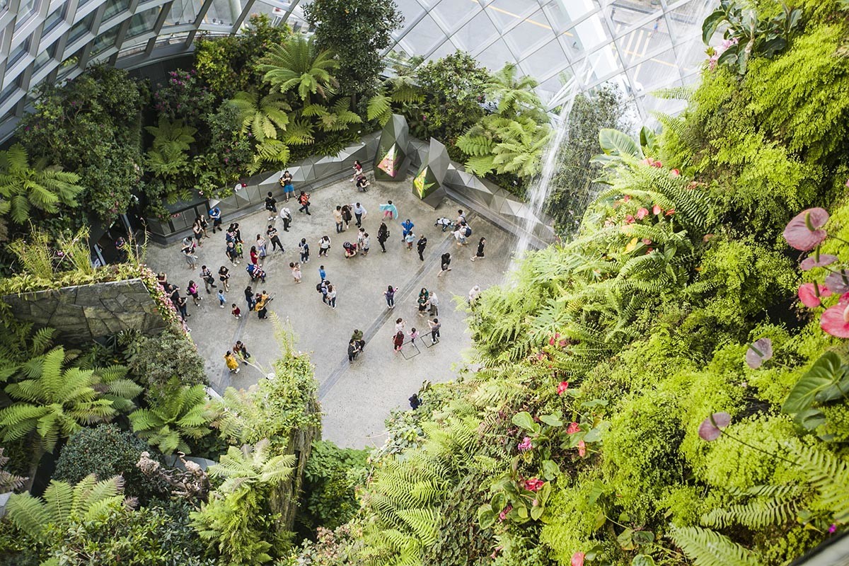 管窥网红立体植物园——新加坡滨海湾花园-中关村在线摄影论坛