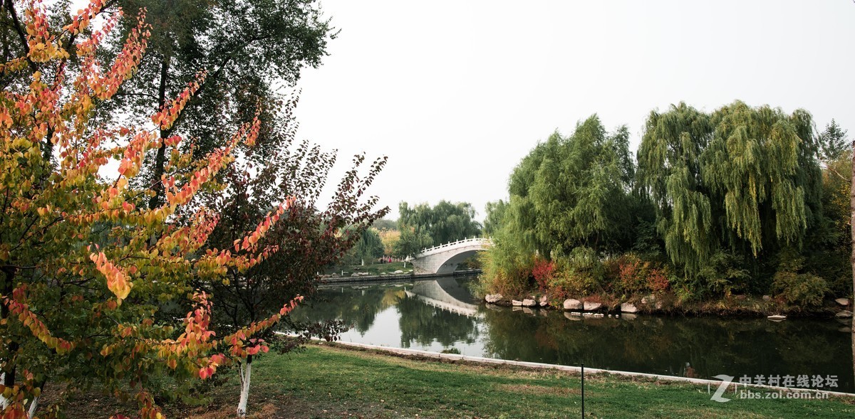 尼康70--200E随拍