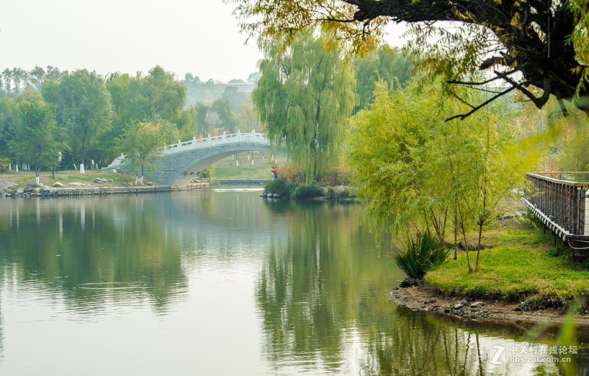 尼康70--200E随拍