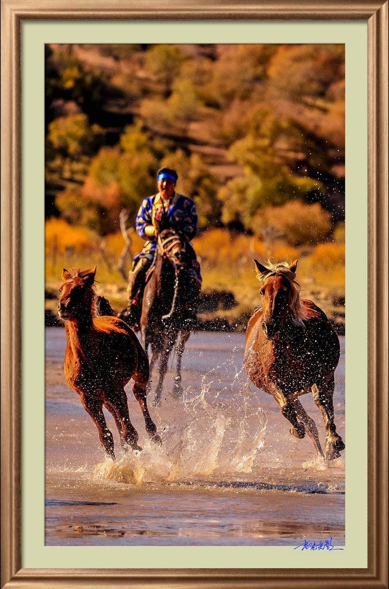 【老张光影】坝上光影（竖版）