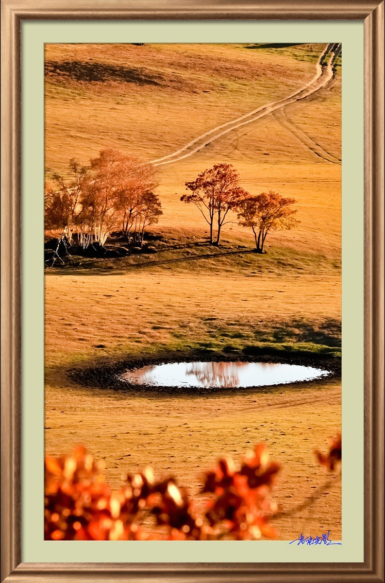 【老张光影】坝上光影（竖版）