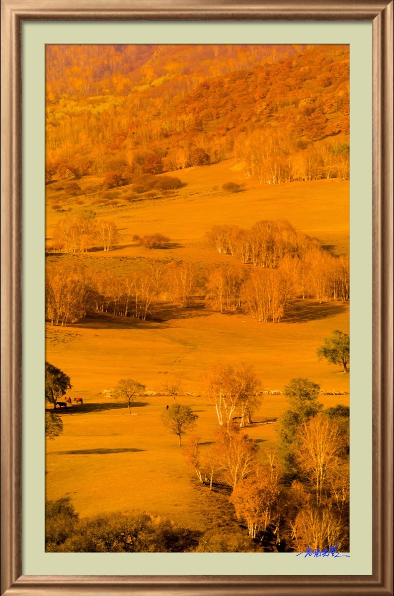 【老张光影】坝上光影（竖版）