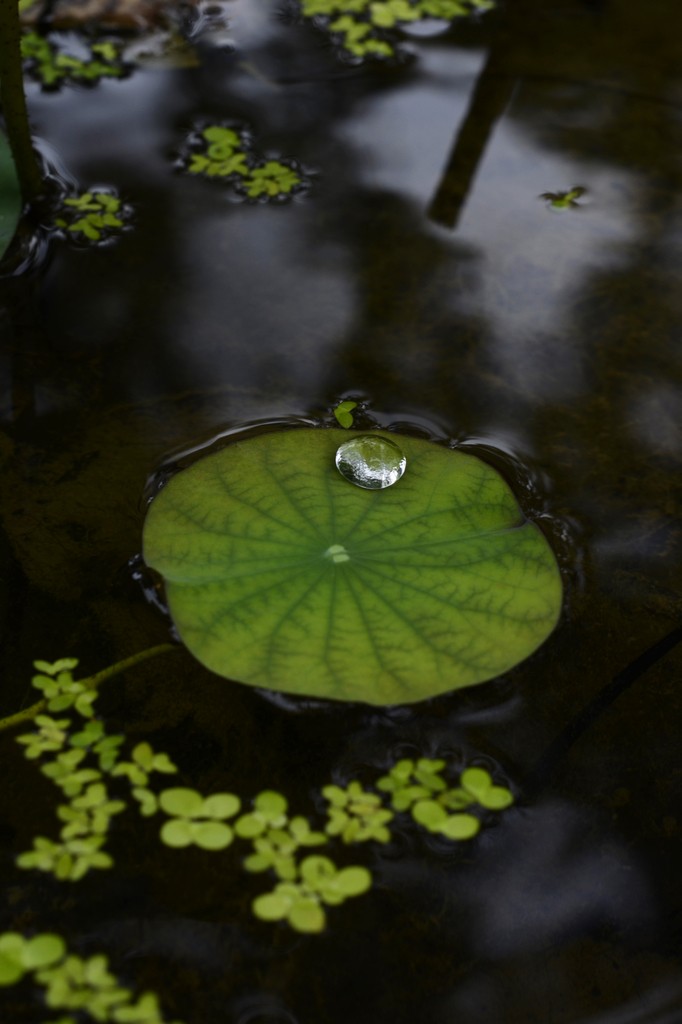 一千入此机身，二千再入昔日镜皇，很不错。