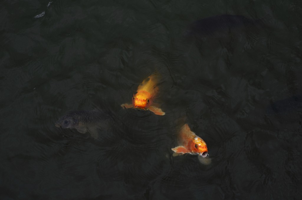 一千入此机身，二千再入昔日镜皇，很不错。