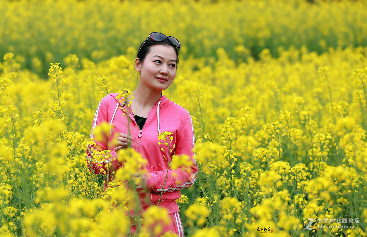 油菜花人像一组