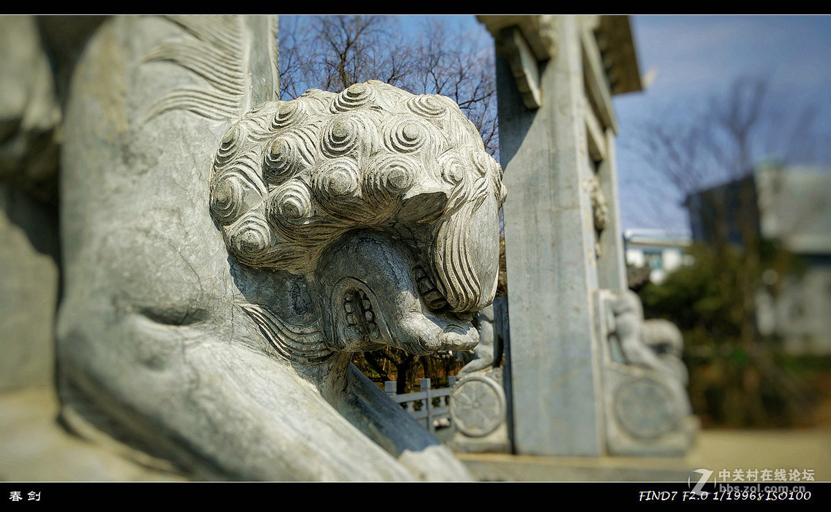 鲁屯古镇游（手机版）