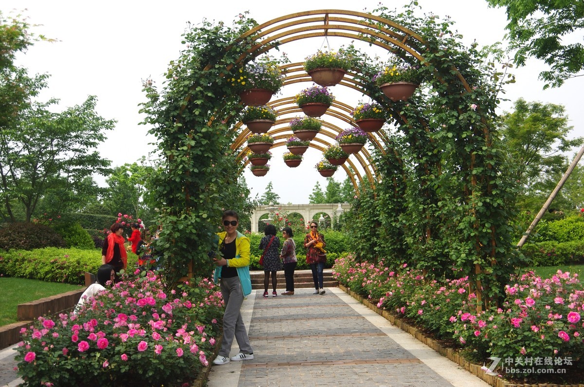 透气之旅 龙虎山大觉山