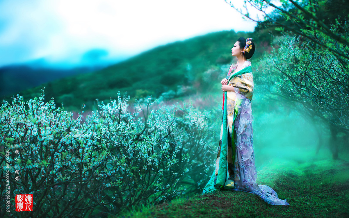 【猎人视觉】-风华无限