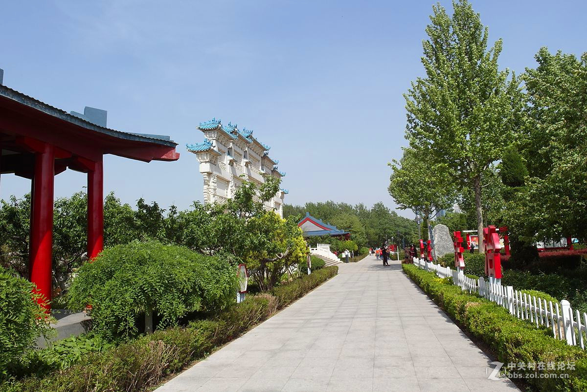 山东寿光中华牡丹园掠影12313p