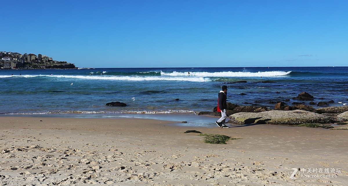 澳洲邦迪海滩