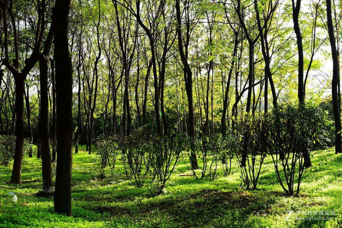 菜鸟入抗750，杂拍一组，求砖。