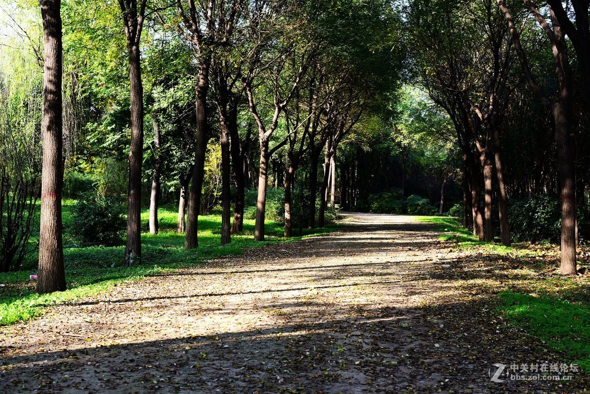 菜鸟入抗750，杂拍一组，求砖。