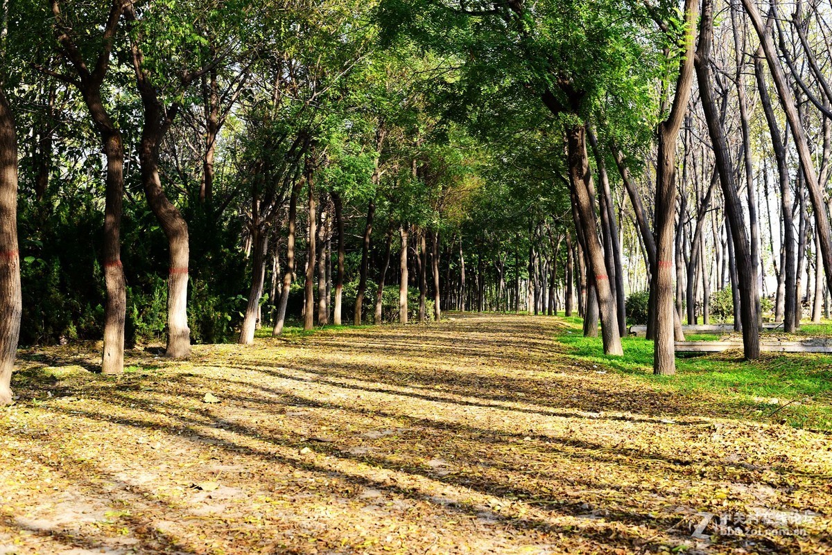 菜鸟入抗750，杂拍一组，求砖。