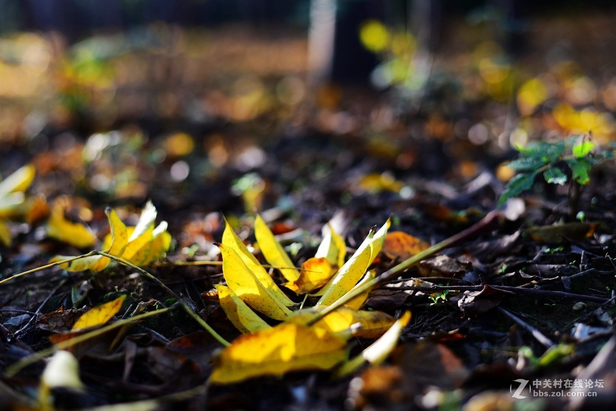 菜鸟入抗750，杂拍一组，求砖。