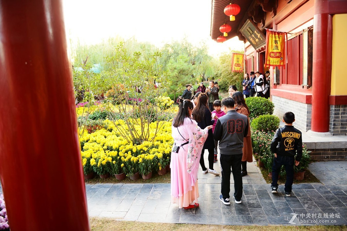 开封市重阳节清明上河园国际菊花展剪影
