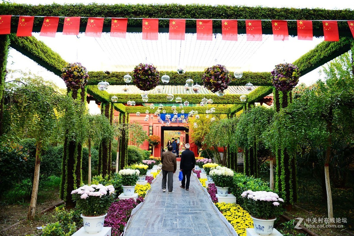 开封市重阳节清明上河园国际菊花展剪影