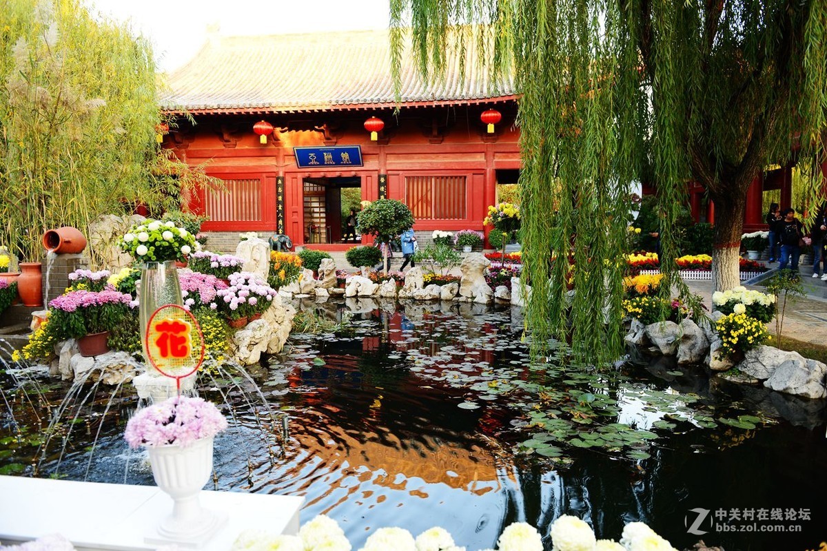 开封市重阳节清明上河园国际菊花展剪影