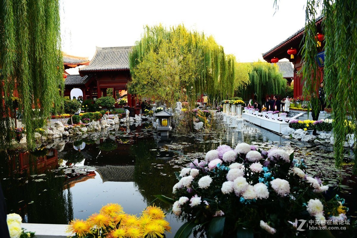 开封市重阳节清明上河园国际菊花展剪影