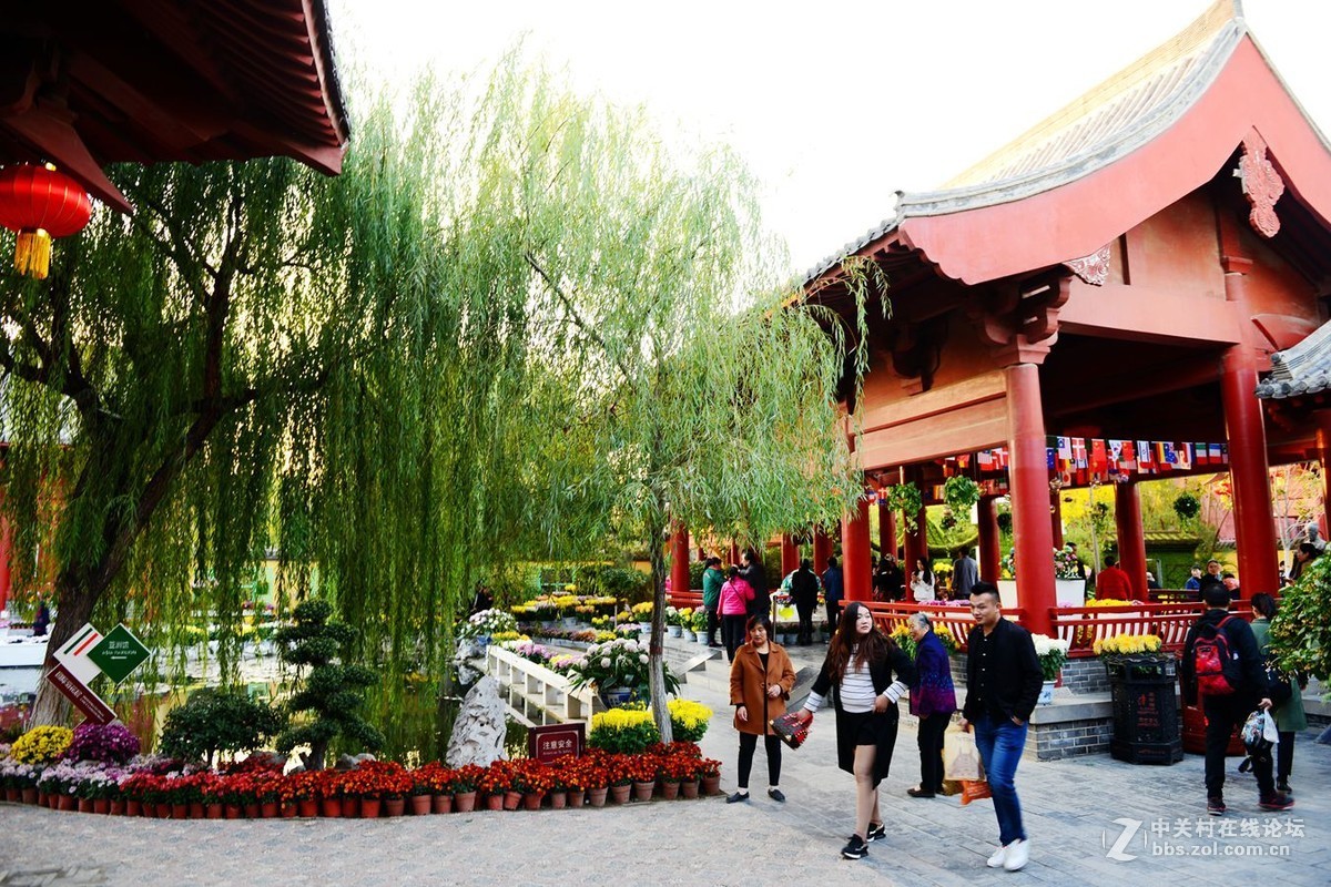 开封市重阳节清明上河园国际菊花展剪影