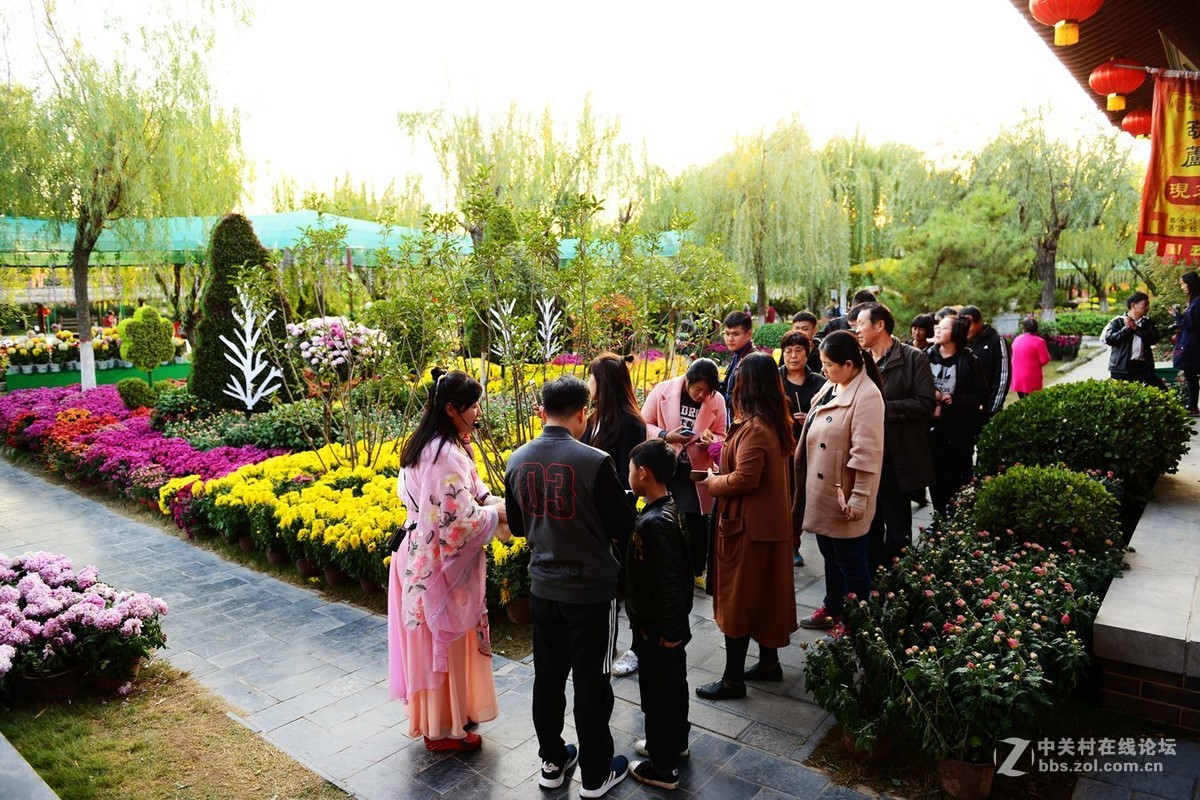 开封市重阳节清明上河园国际菊花展剪影