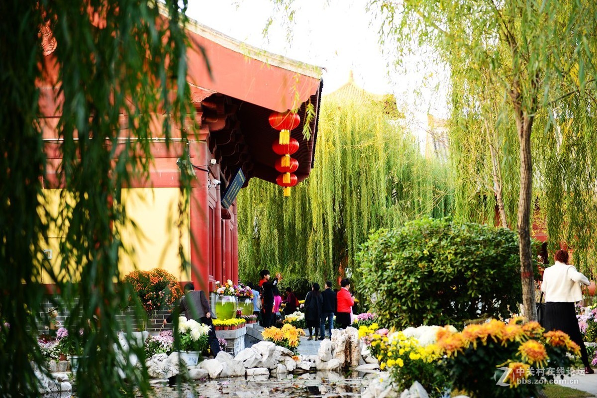 开封市重阳节清明上河园国际菊花展剪影