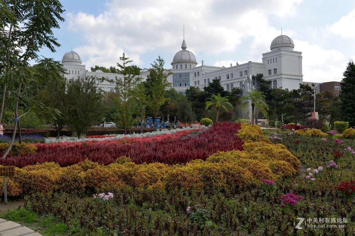 携一组吉林大学建校70周年纪念片拜访长春板块诸位版主和影友（吉大毕业喜欢长春城市）