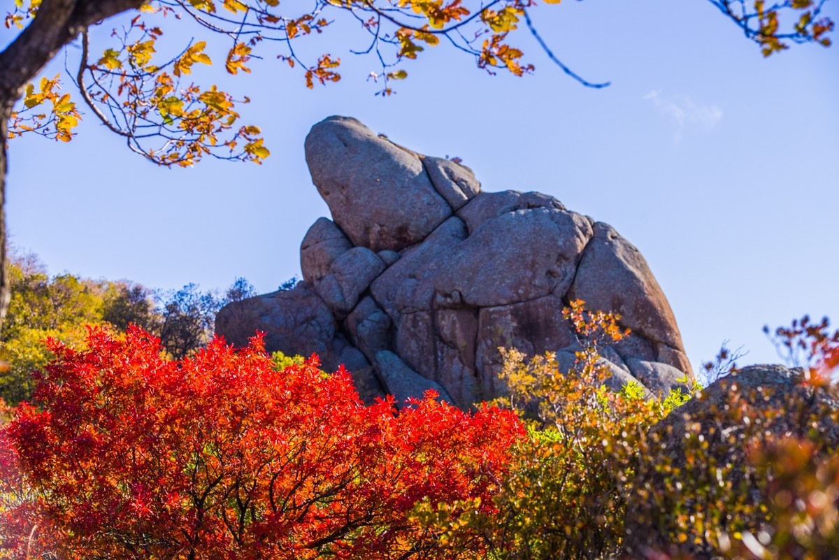 克旗瞰秋五十九日照西坡的大青山