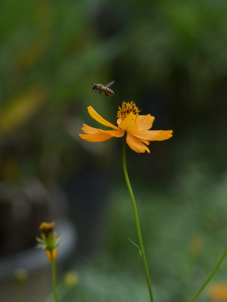 一千入此机身，二千再入昔日镜皇，很不错。