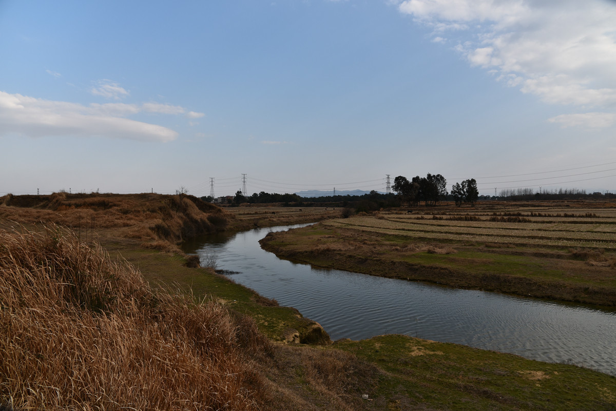 再发一些未做后期的照片，请各位师友指教。