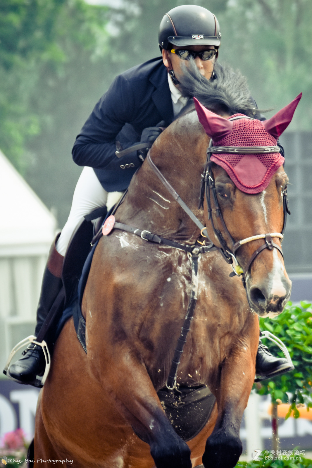 马术邂逅光影成年骑士舍我其谁