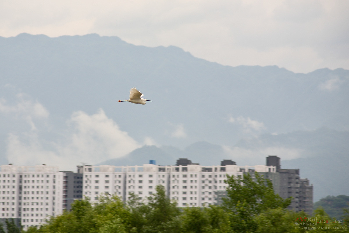 雨后  第一张秦岭由13张竖图拼成